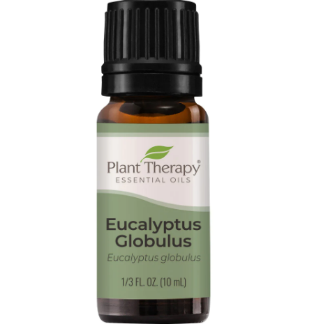 Eucalyptus Globulus Essential Oil