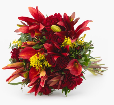 BloomsyBox
